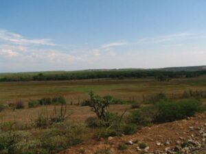 En el Huila en estos momentos hay más de 1.000 quejas por restitución de tierras, de las cuales 400 están intervenidas.