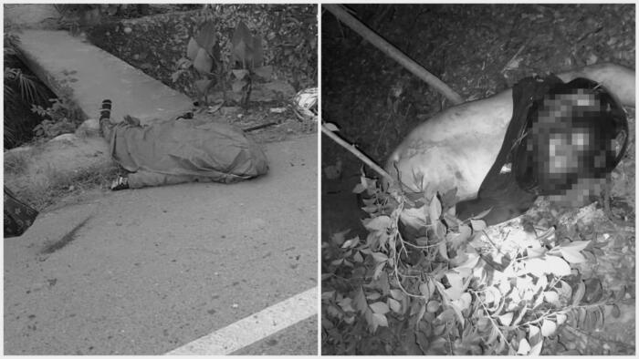 Two motorcyclists died in accidents in Huila • La Nación