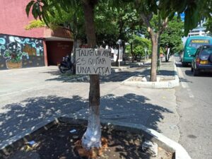 Sobre la carrera Quinta, este árbol fue atacado en los últimos días. Aún se mantiene en pie.