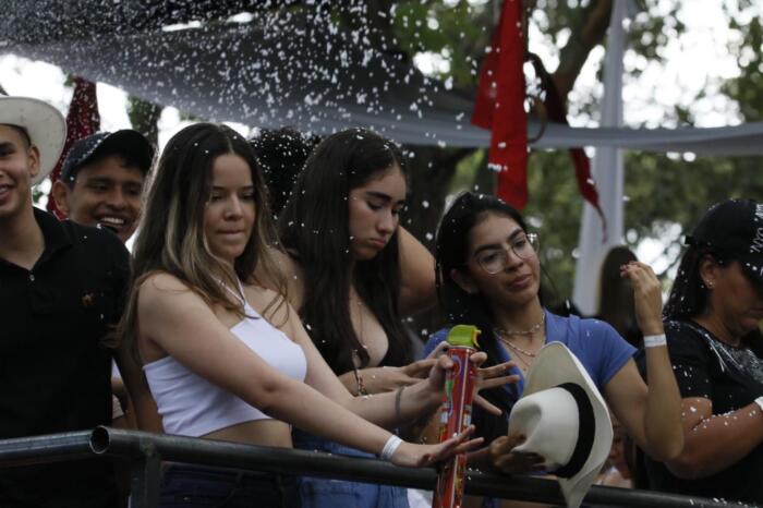 También se prohíbe la comercialización, venta y uso de vuvuzelas, harina y espuma. 