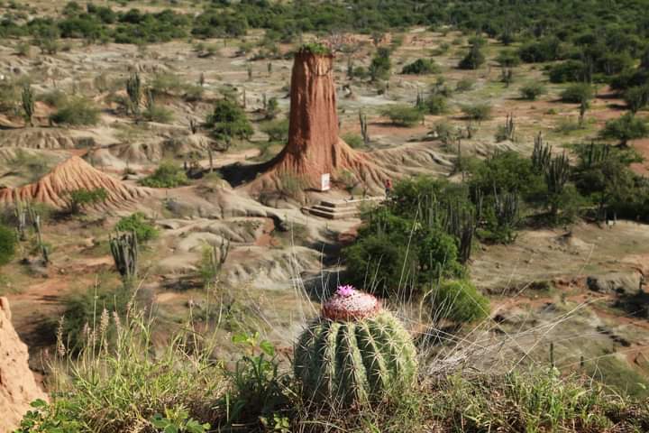 Tatacoa is a World Geological Heritage! • The Nation